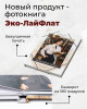 Новый продукт